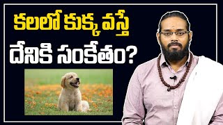 కలల కకక వసత దనక సకత What Happens When We Dream About Dogs Dattananda Ss