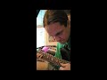 Guitar Adventures (PRS &amp; EVH pedal)  -Lucius 2/14/26 youtube concert Highlights