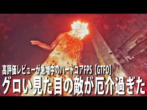 【GTFO】高評価レビューが急増中のハードコアFPSに出てくる厄介過ぎる敵モンスター【アフロマスク】