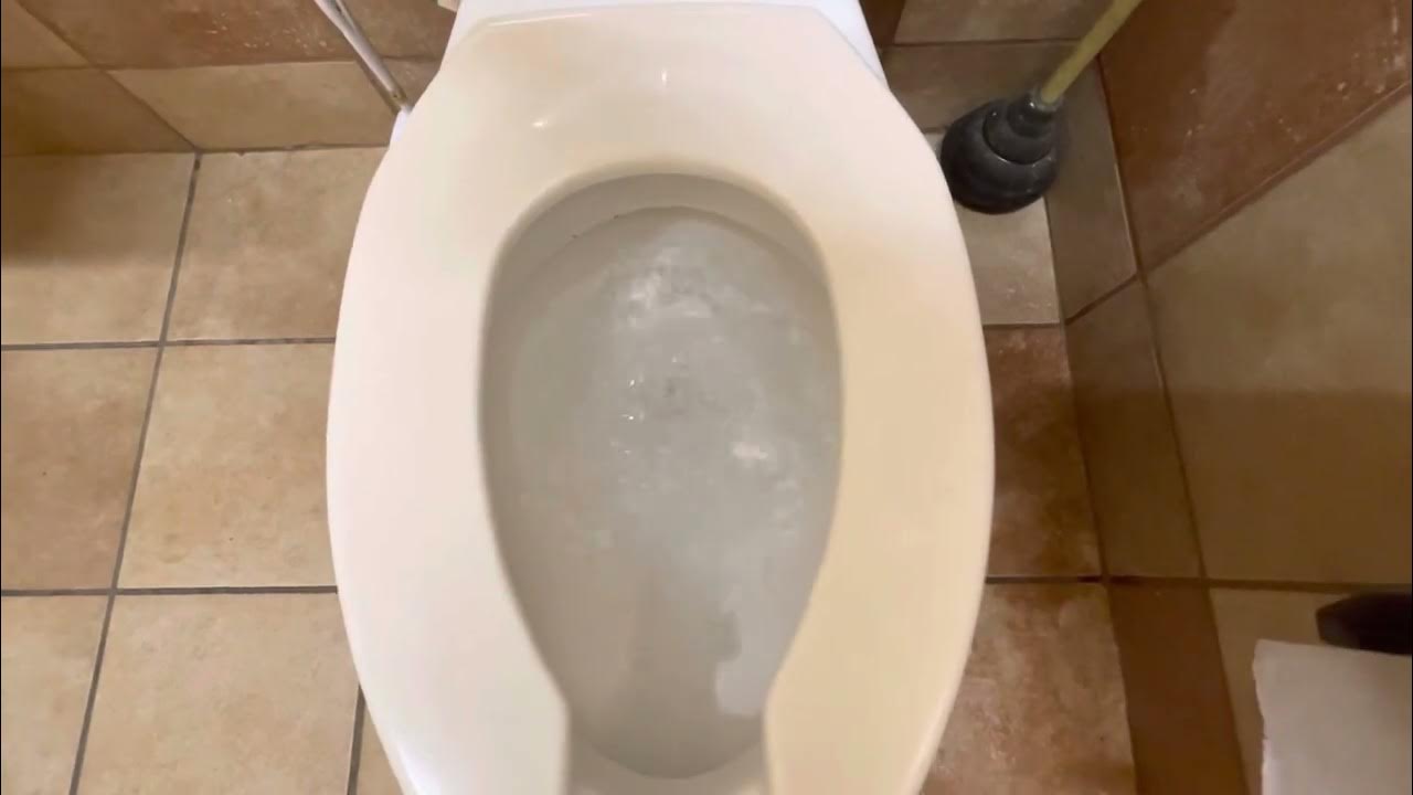 PetSmart Men’s Restroom full shoot YouTube