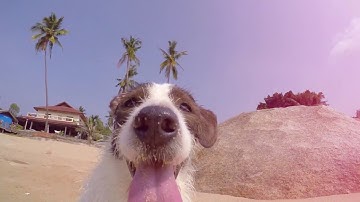 Eva Landry Reviews 4K Edit Essentials from Rampant Design