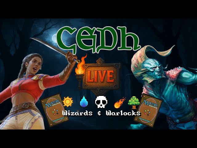 500 SUBS!! CEDH LIVESTREAM with Wizards & Warlocks + @GoToCombat thumbnail