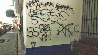 Why Are the Southside Crips (SSCC) in Compton so Notorious?