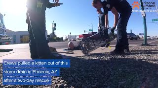 WEB EXTRA: Crews Rescue Kitten From Storm Drain