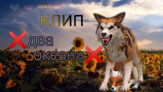 ❌два океана❌ клип ( Wildcraft)