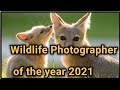 Wildlife Photographer Of The Year 2021 Awards