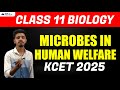 Microbes in Human Welfare Chapter Video | KCET 2025 Biology | BSc Nursing in Karnataka | KEA