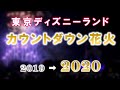 《2020年》東京ディズニーランド カウントダウン花火 "ニューデイ、ニュードリームス" / Tokyo Disneyland "New Years Eve" fireworks 2020