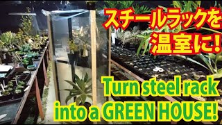 2000円でスチールラックが植物用温室に変身！？ Turn your steel rack into a small green house under $20! (w/ subtitles!)