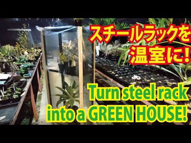00円でスチールラックが植物用温室に変身 Turn Your Steel Rack Into A Small Green House Under W Subtitles Youtube