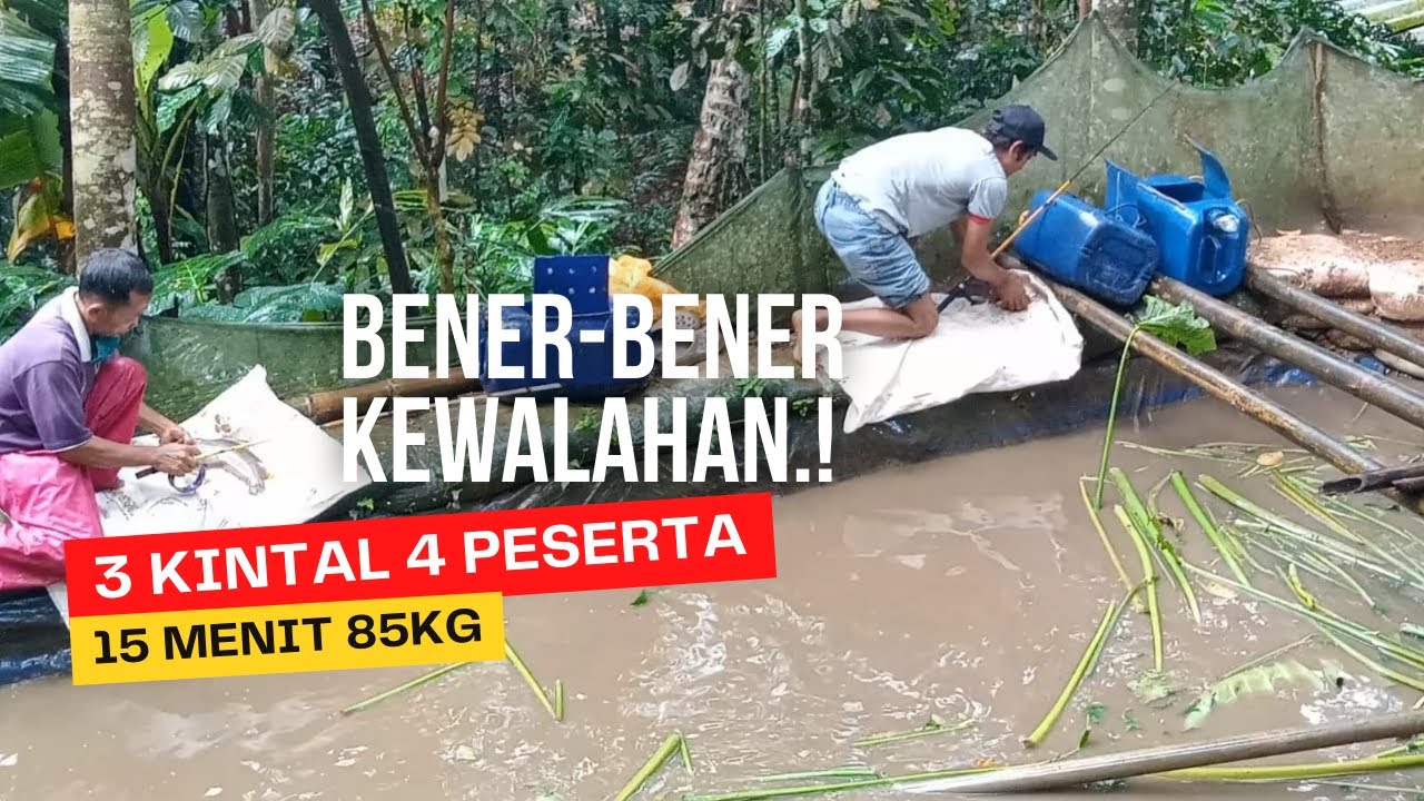 PALING PUAS mancing ikan lele disini strek tanpa henti..!