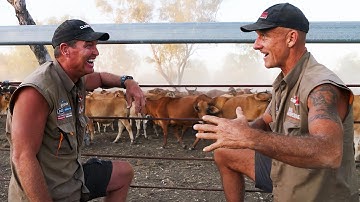🔥 CATTLE MUSTER in Outback Australia — It