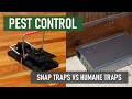 Snap Traps or Humane Traps? [DIY Rodent Control]