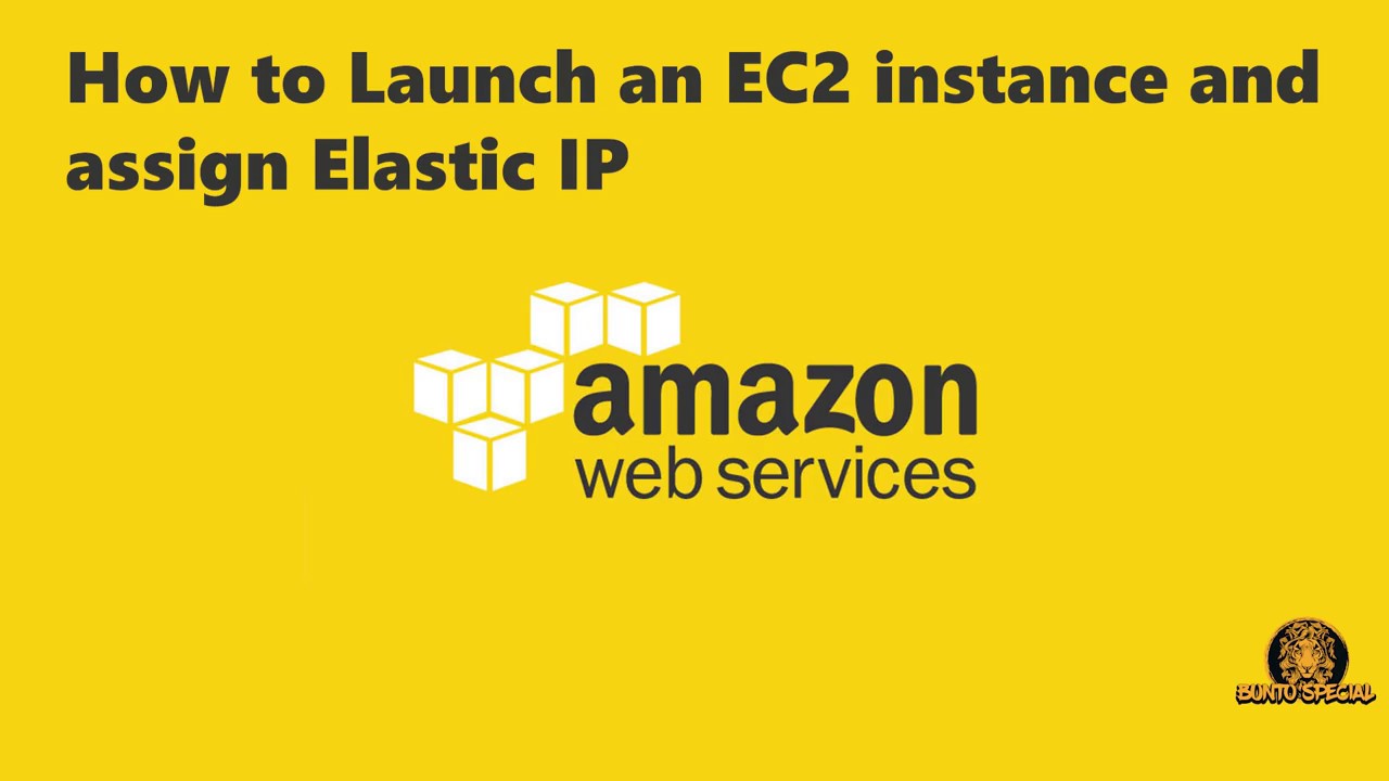 How to Launch an AWS EC2 instance and associate Elastic IP Step by Step ...