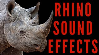 RHINO SOUND EFFECTS - Rhinoceros Sounds | Maktub_ytv