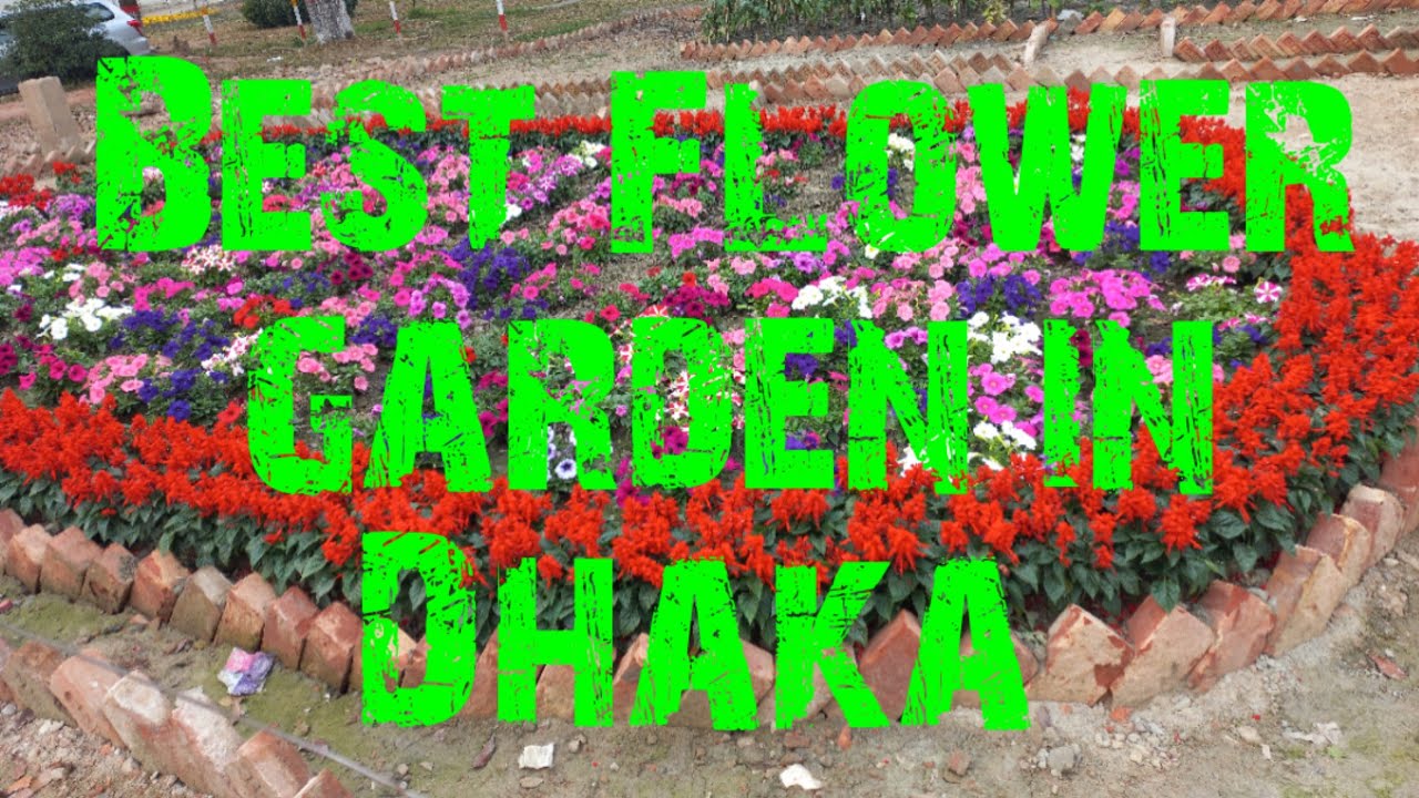 Best Flower Garden in Dhaka.. ফুলের বাগান রেড ক্রিসেন্ট হাসপাতাল