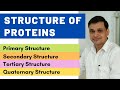 Unraveling Protein Structures From Primary to Quaternary Levels