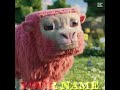 Minecraft’ı çıkaran kişi ve hayvanları