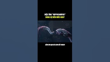 HIỆU ỨNG HIPPOCAMPUS ĐÁNG SỢ ĐẾN MỨC NÀO ? #kienthucthuvi