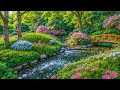 All Your Worries Will Disappear If You Listen To This MusicрџЊї Relaxing Music Calms The Nerves 50 All Your Worries Will Disappear If You Listen To This MusicрџЊї Relaxing Music Calms The Nerves 50