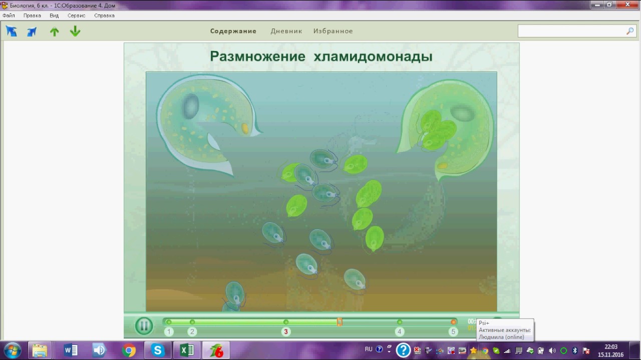 Водоросли огэ. Водоросли ОГЭ биология. Хламидомонады подготовка к ЕГЭ по биологии. Цикл хламидомонады ЕГЭ.