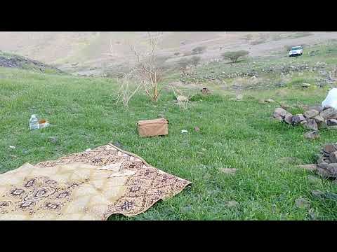 ربيع البرزة ١٤٤١ه