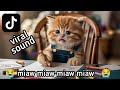 viral TikTok in 2024 | miaw miaw miaw miaw song sad 😭