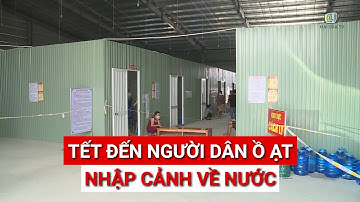 NGƯỜI DÂN VIỆT NAM Ồ ẠT NHẬP CẢNH VỀ NƯỚC ĂN TẾT QUA ĐƯỜNG CỬA KHẨU QUỐC TẾ HÀ TIÊN | HAI LÚA TV