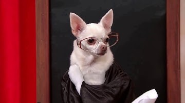 Turner v. Rogers: Oral Argument - March 23, 2011