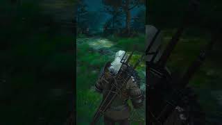 You’ll regret finishing Witcher 3 without knowing THIS