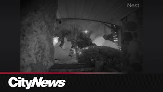 Scarborough family's beloved Christmas display destroyed by masked vandals