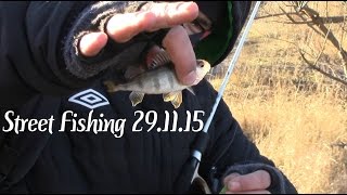 Street Fishing 29.11.15