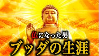 【仏の教え】心の痛みで苦しんでいるあなたへ贈るブッダの言葉