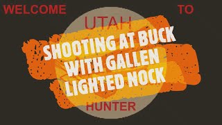 SHOOTING AT BUCK WITH GALLEN LIGHTED NOCK