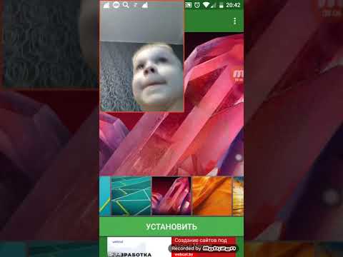 обои на телефон