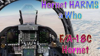 DCS VR 4K | F/A-18C Hornet | Burning Skies US | Hornet HARMs a Who