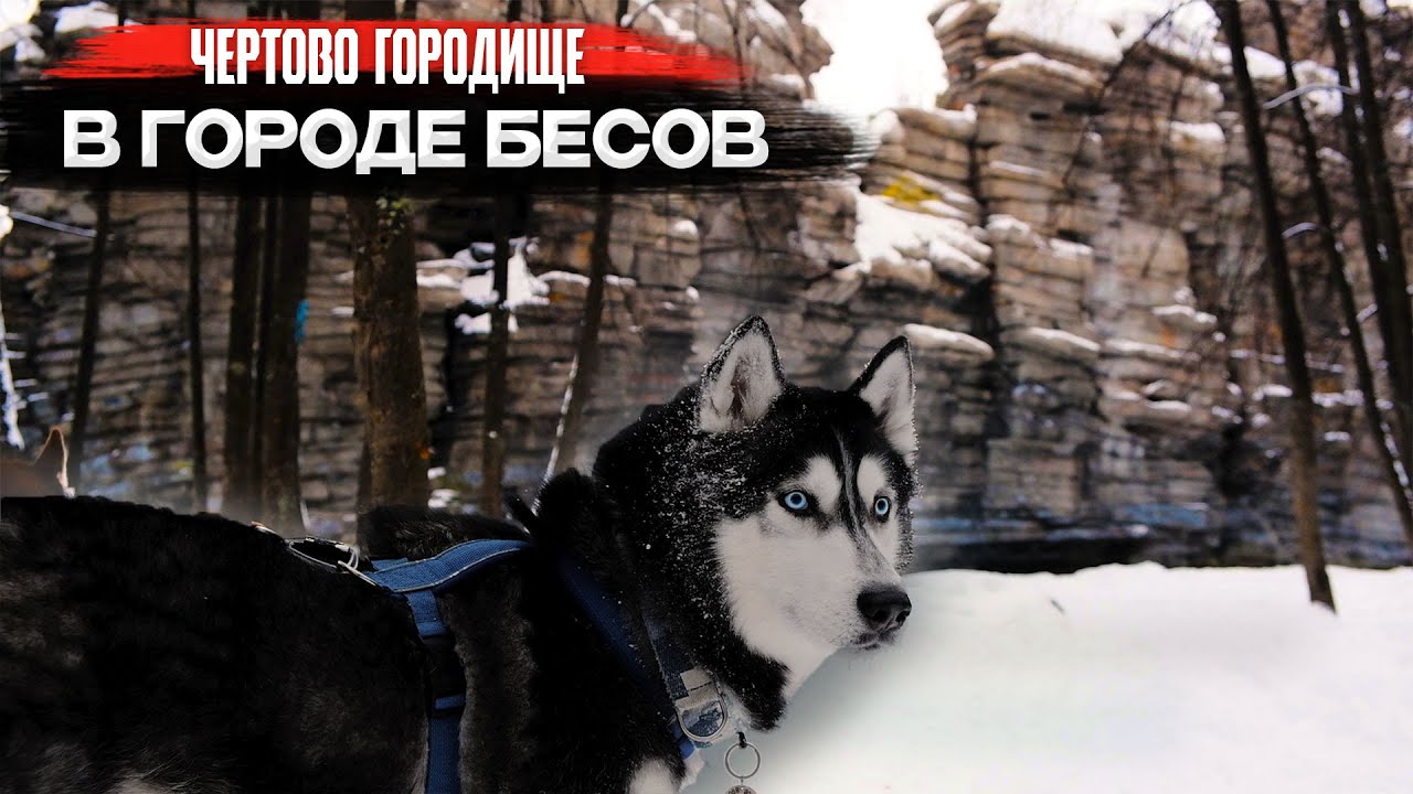 Куда сходить с собаками в поход | Чертово городище | Хипстеры у подножья