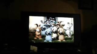 Rabbits Crying