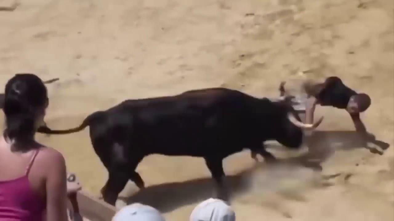 Best funny videos- Bull Fighting Accidents bull fighting - YouTube