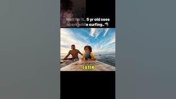 Scariest Experience For Him😳! #shark #surfing #scary #ocean#shorts #shortsviral #viralvideos #story
