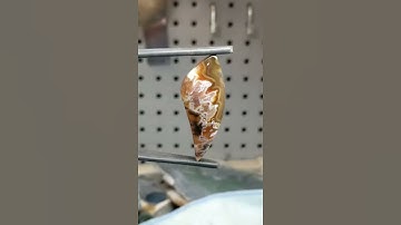 AVAILABLE @LEXXSTONES.COM! Turkish Pseudomorph Stick Agate