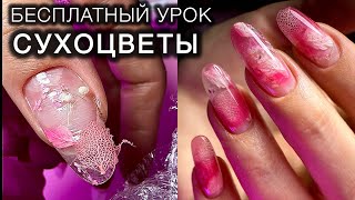 МК СУХОЦВЕТЫ #мкманикюр #аленалаврентьева #ногти #nails #дизайнногтей #сухоцветы #irisk #domix