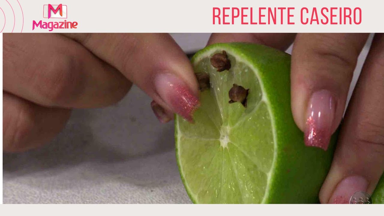 DIY: Como fazer repelente caseiro com limão e cravo - YouTube