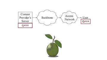 Quota-aware video adaptation - Jiasi Chen