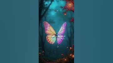 ارح قلبك وسمعك ♡🎧 أجر لي ولك🦋 القارئ عبدالرحمن مسعد subscribe