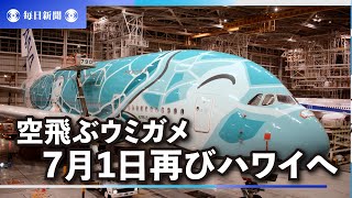 空飛ぶウミガメ、7月1日再びハワイへ　2年4カ月ぶりのフライト