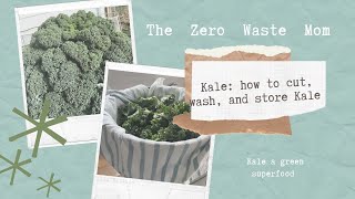 Kale: How to Cut, Wash, and store Kale, The Zero Waste Version
