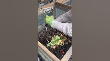 Composting During Winter #compost #composting