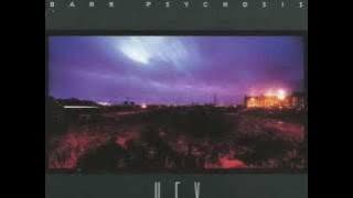 Bark Psychosis - Absent Friend