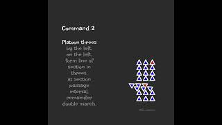 Platoon Drill - Command 2